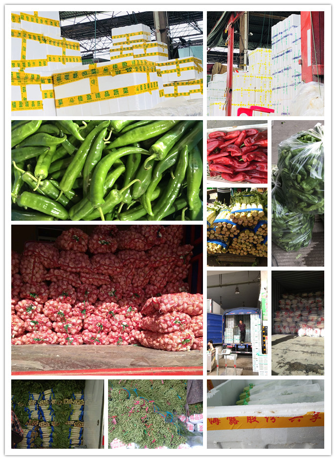 w66.利来(中国区)_来利国际旗舰厅