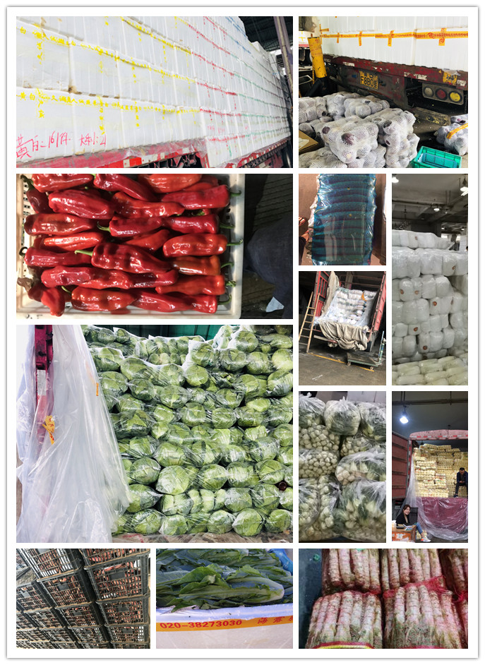 w66.利来(中国区)_来利国际旗舰厅