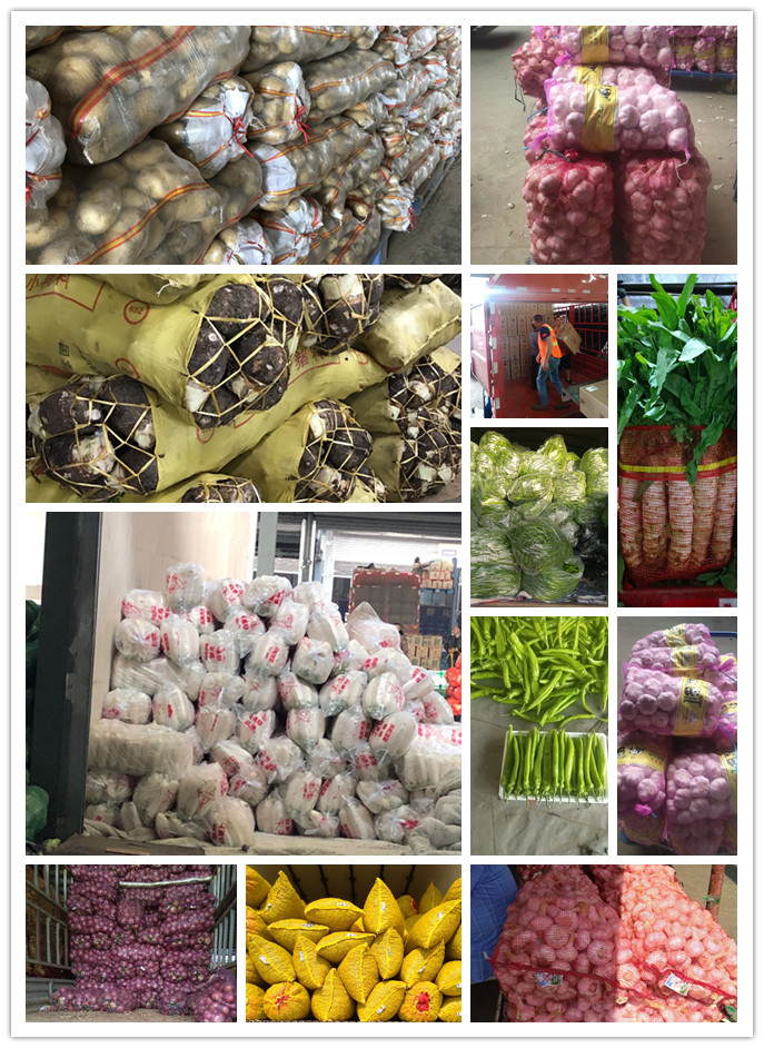 w66.利来(中国区)_来利国际旗舰厅