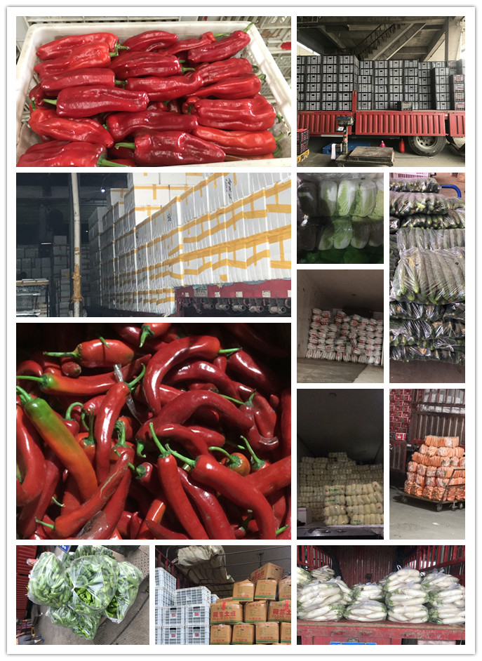 w66.利来(中国区)_来利国际旗舰厅