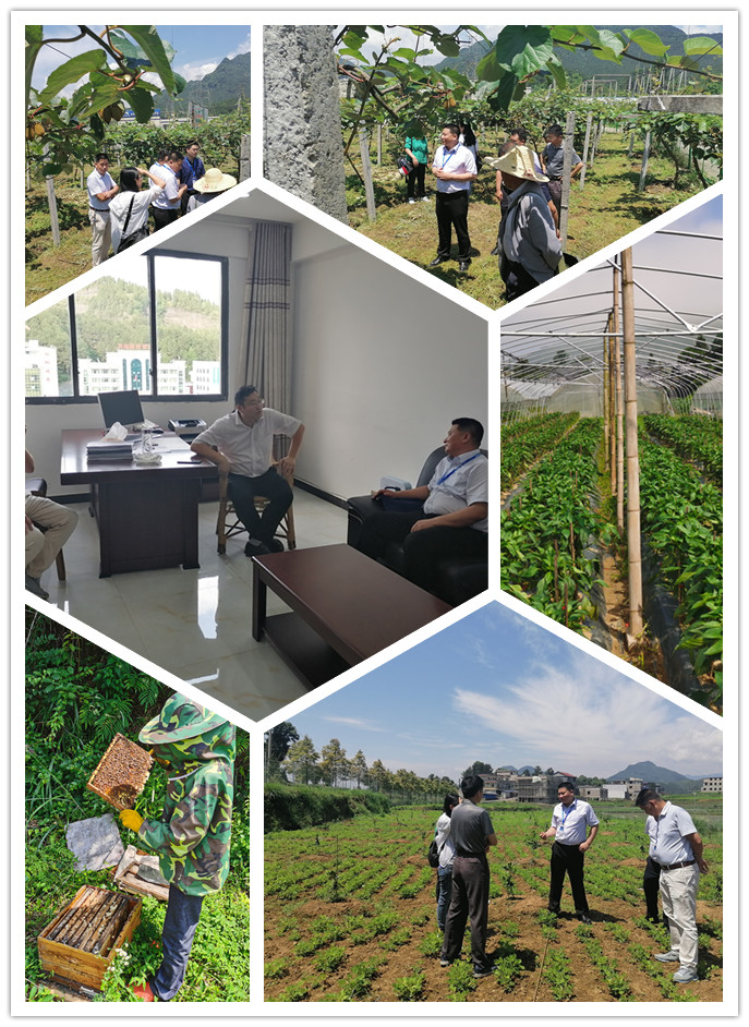 w66.利来(中国区)_来利国际旗舰厅