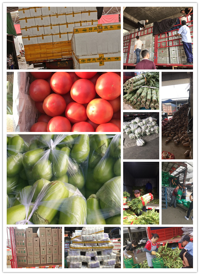 w66.利来(中国区)_来利国际旗舰厅