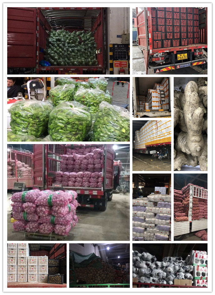 w66.利来(中国区)_来利国际旗舰厅