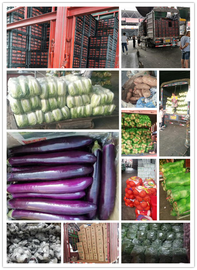 w66.利来(中国区)_来利国际旗舰厅