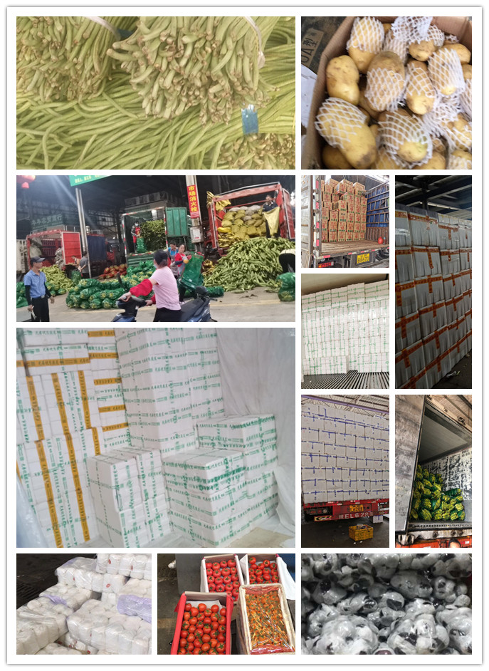 w66.利来(中国区)_来利国际旗舰厅