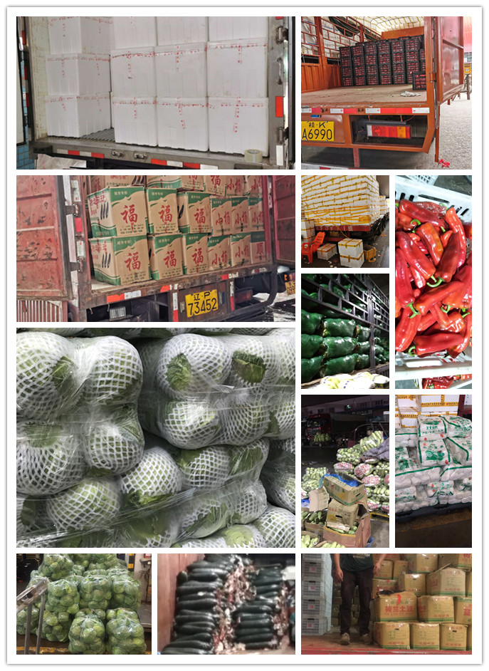 w66.利来(中国区)_来利国际旗舰厅