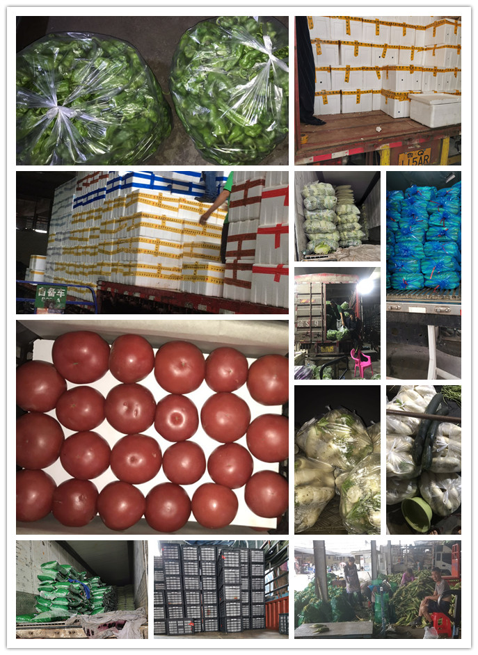 w66.利来(中国区)_来利国际旗舰厅