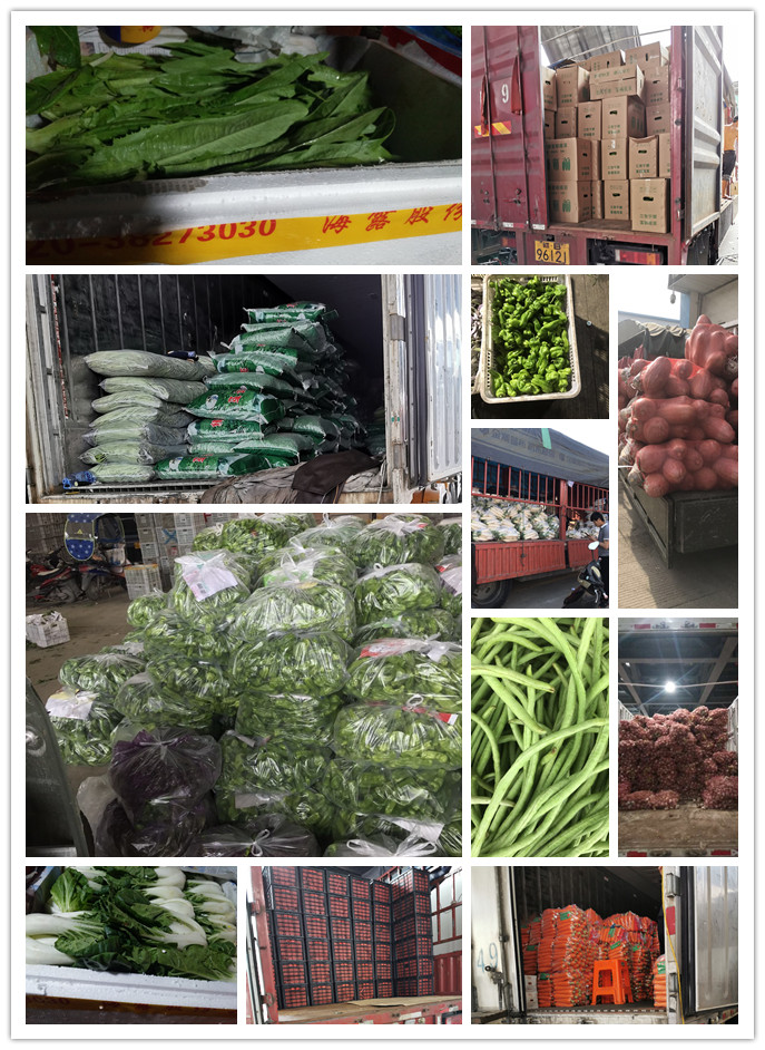 w66.利来(中国区)_来利国际旗舰厅