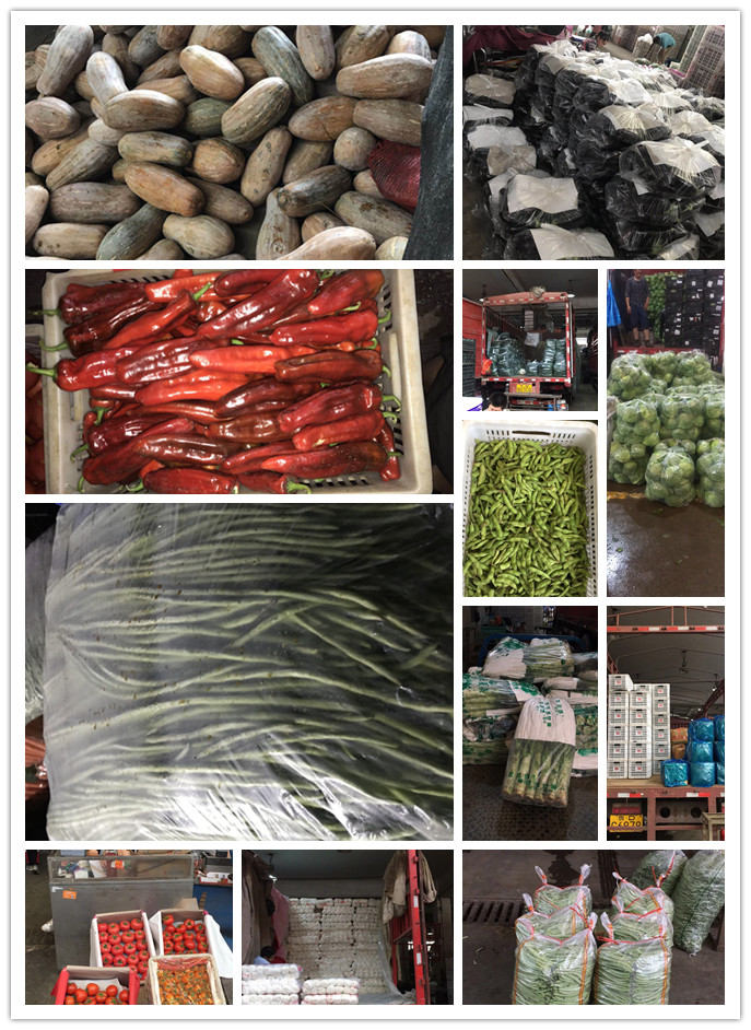 w66.利来(中国区)_来利国际旗舰厅