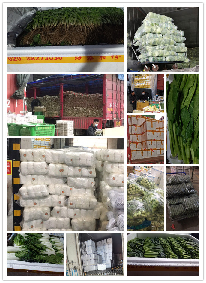 w66.利来(中国区)_来利国际旗舰厅