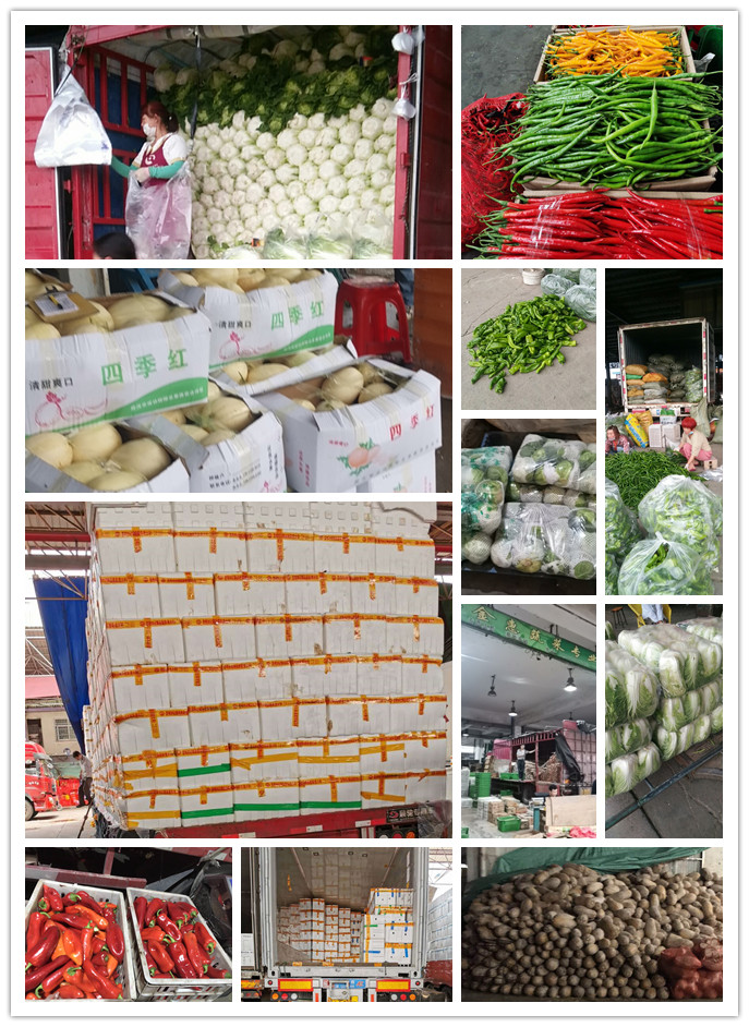 w66.利来(中国区)_来利国际旗舰厅