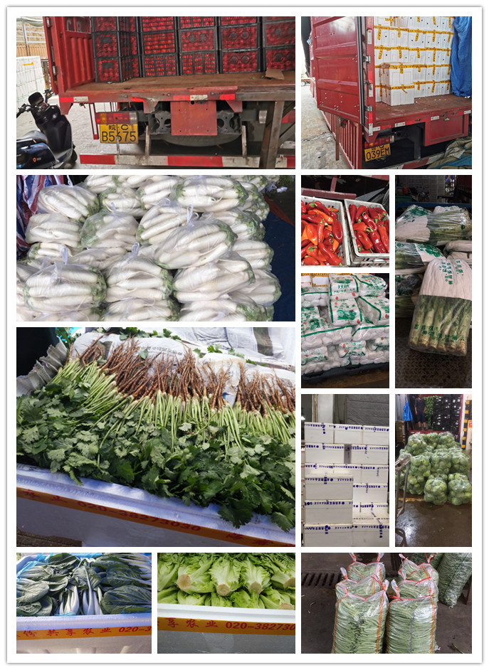 w66.利来(中国区)_来利国际旗舰厅