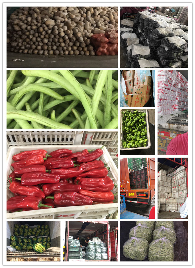 w66.利来(中国区)_来利国际旗舰厅