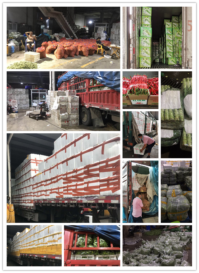 w66.利来(中国区)_来利国际旗舰厅