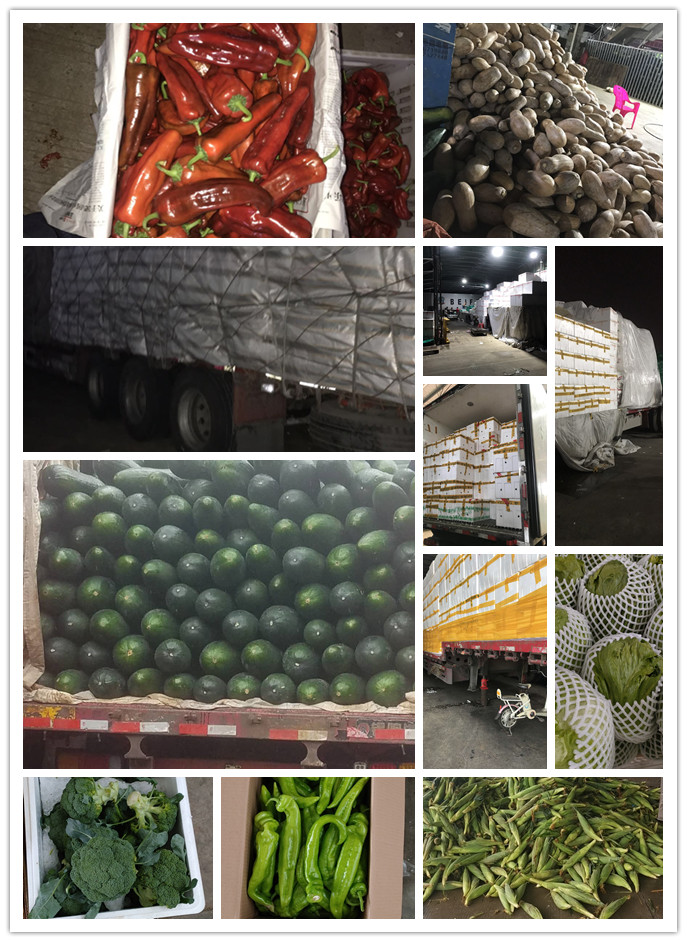 w66.利来(中国区)_来利国际旗舰厅