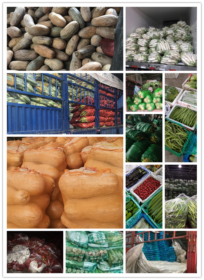 w66.利来(中国区)_来利国际旗舰厅