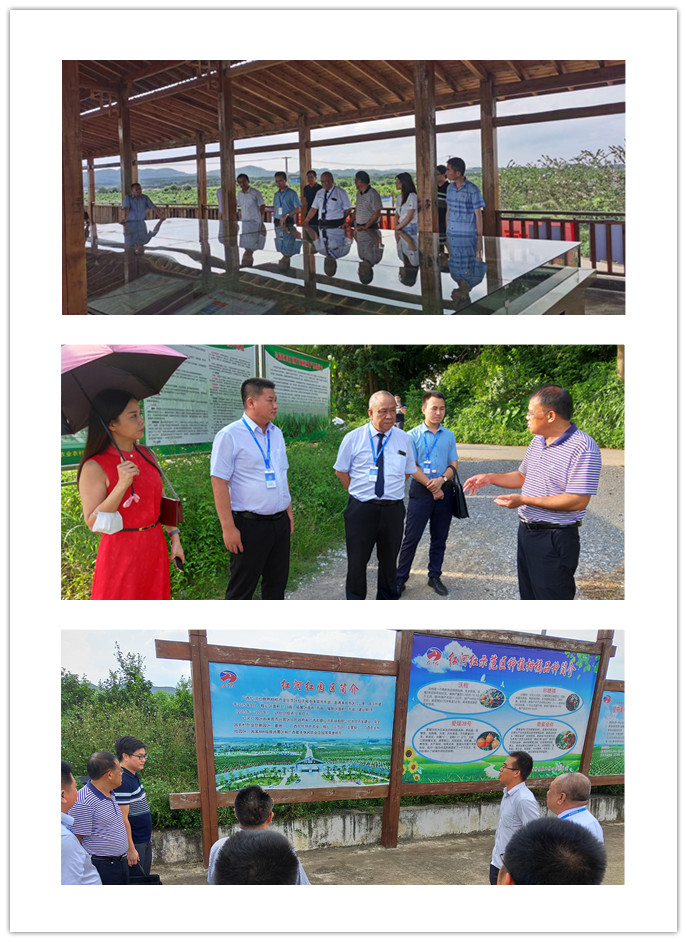 w66.利来(中国区)_来利国际旗舰厅