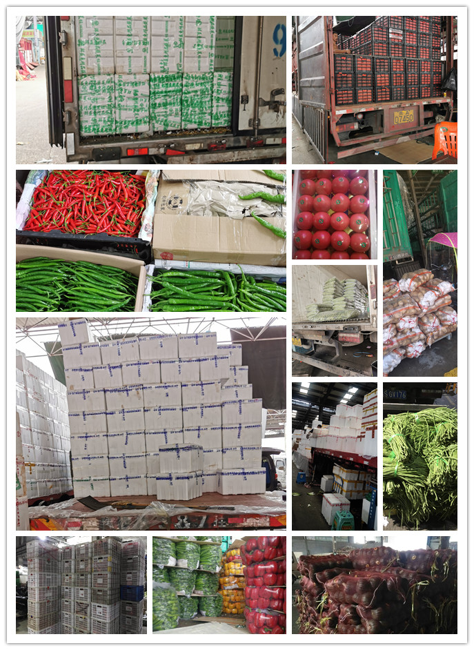 w66.利来(中国区)_来利国际旗舰厅