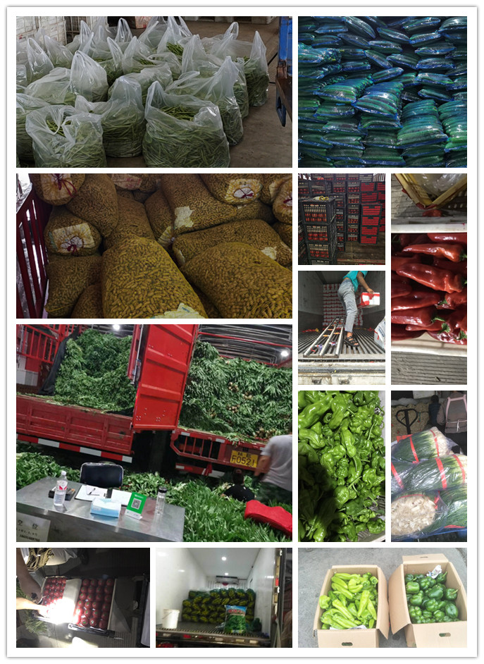 w66.利来(中国区)_来利国际旗舰厅