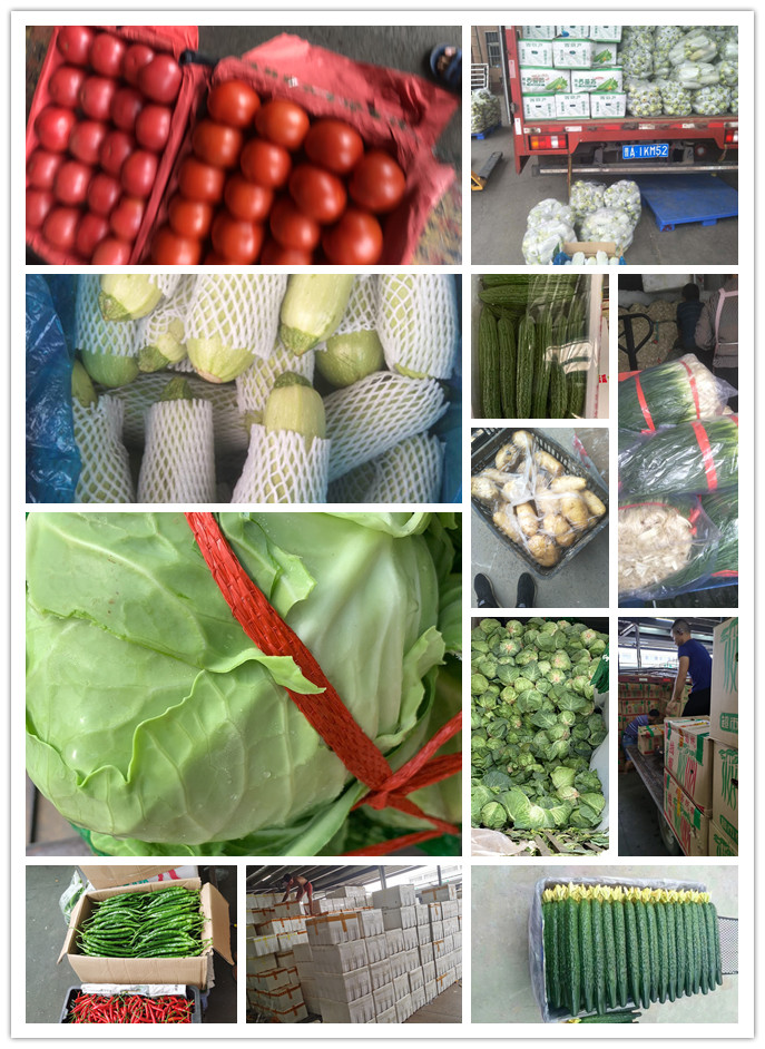 w66.利来(中国区)_来利国际旗舰厅