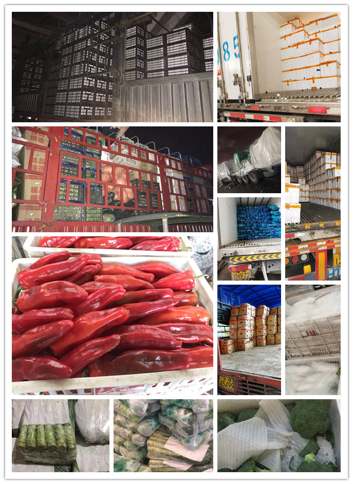 w66.利来(中国区)_来利国际旗舰厅