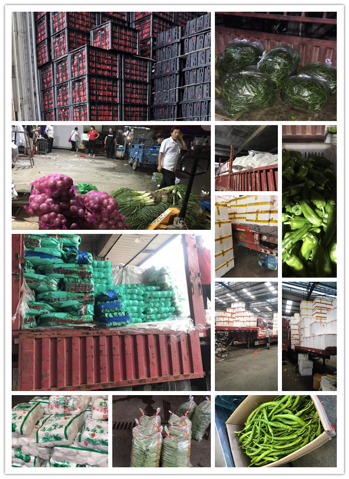 w66.利来(中国区)_来利国际旗舰厅