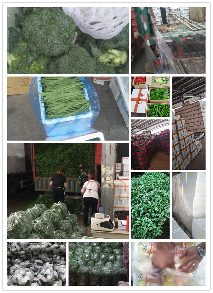 w66.利来(中国区)_来利国际旗舰厅