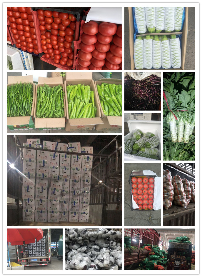 w66.利来(中国区)_来利国际旗舰厅