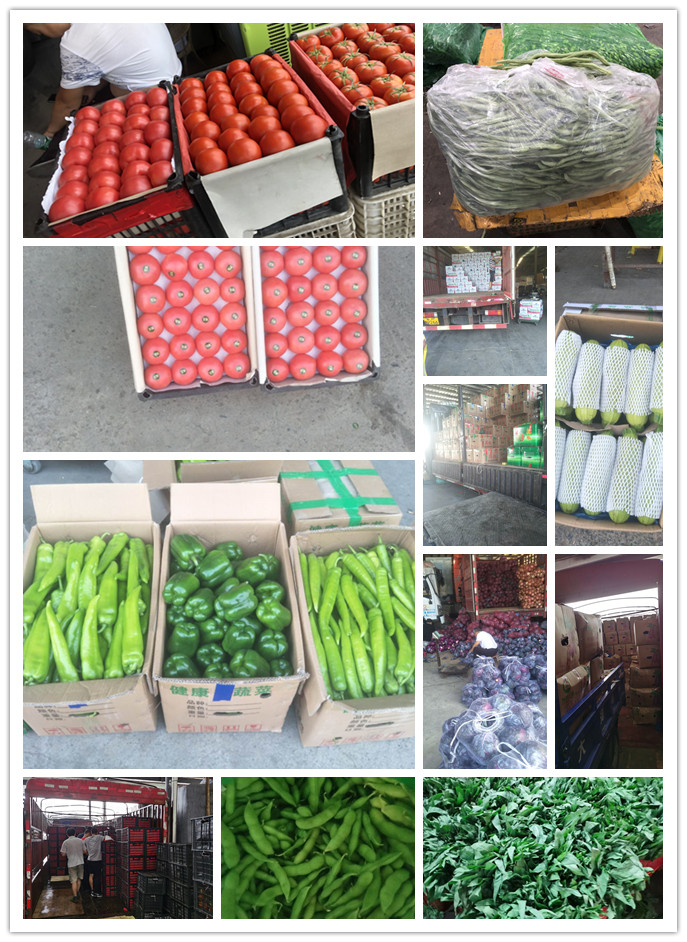 w66.利来(中国区)_来利国际旗舰厅