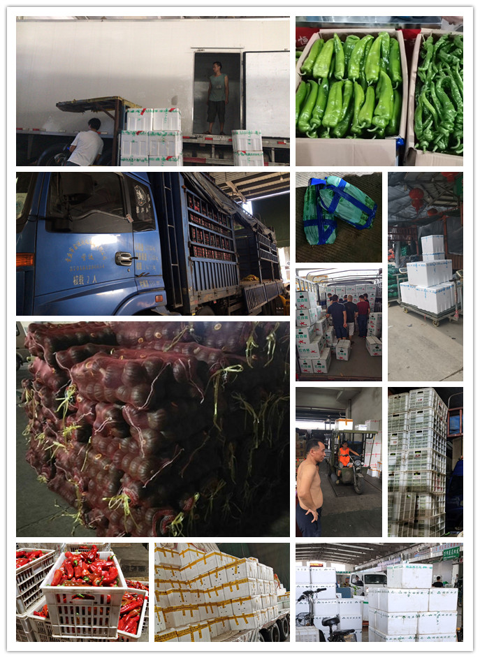 w66.利来(中国区)_来利国际旗舰厅