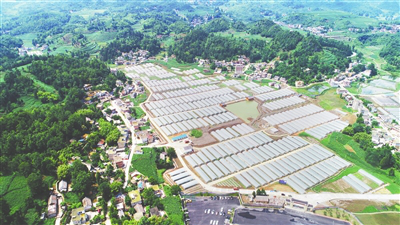 w66.利来(中国区)_来利国际旗舰厅