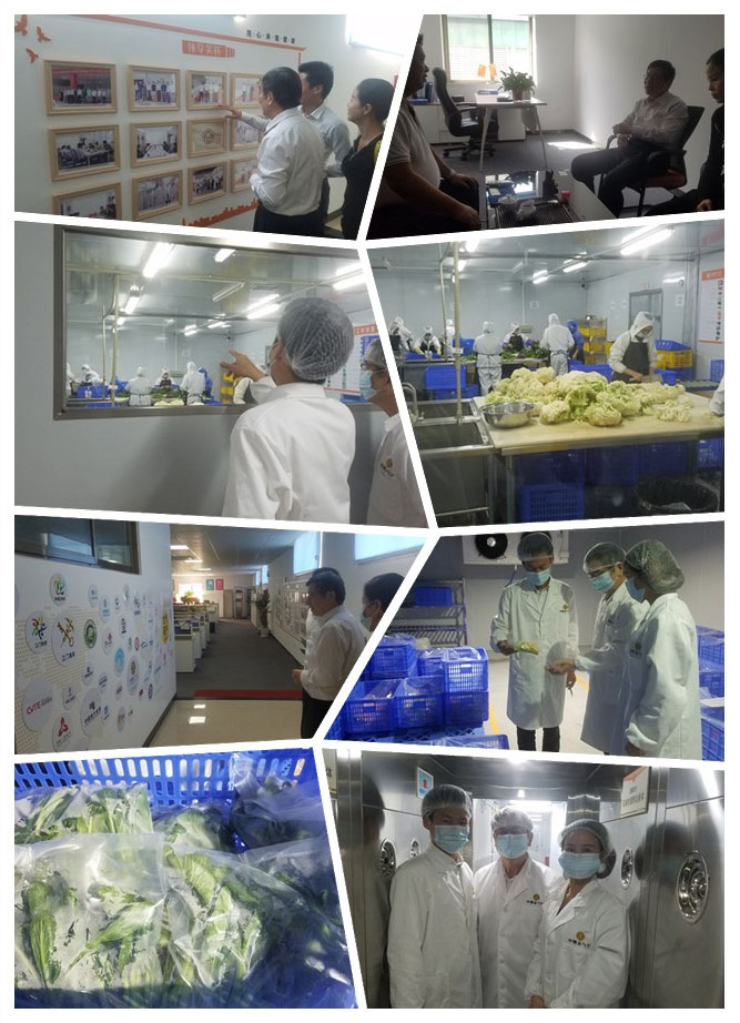 w66.利来(中国区)_来利国际旗舰厅