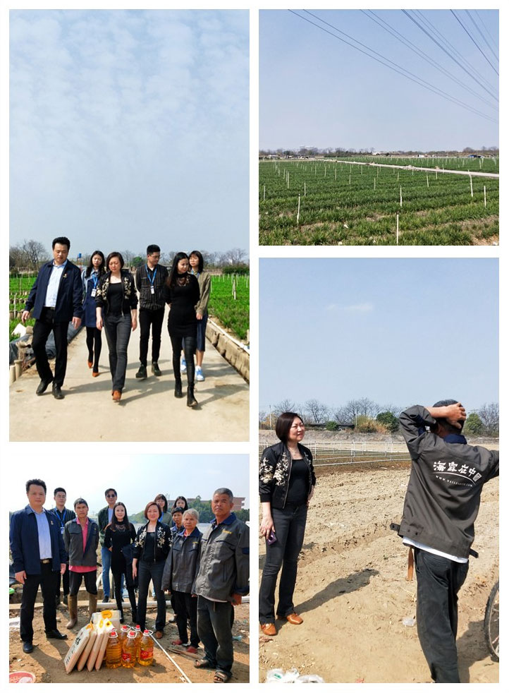 w66.利来(中国区)_来利国际旗舰厅