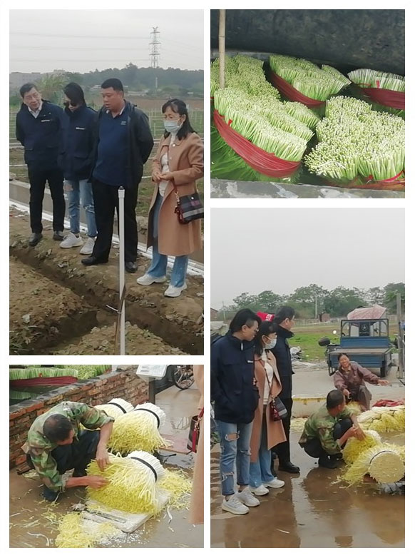 w66.利来(中国区)_来利国际旗舰厅