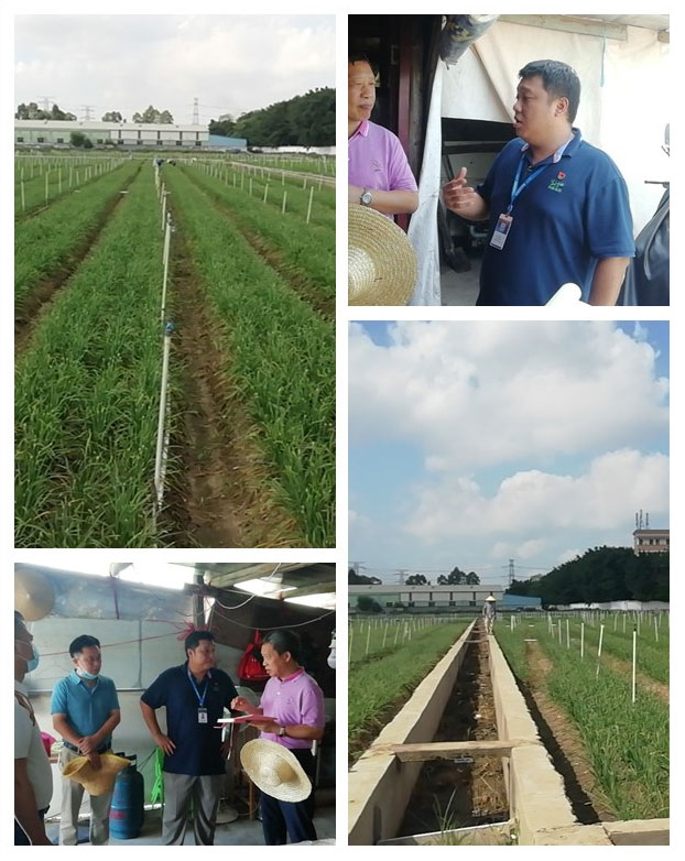 w66.利来(中国区)_来利国际旗舰厅