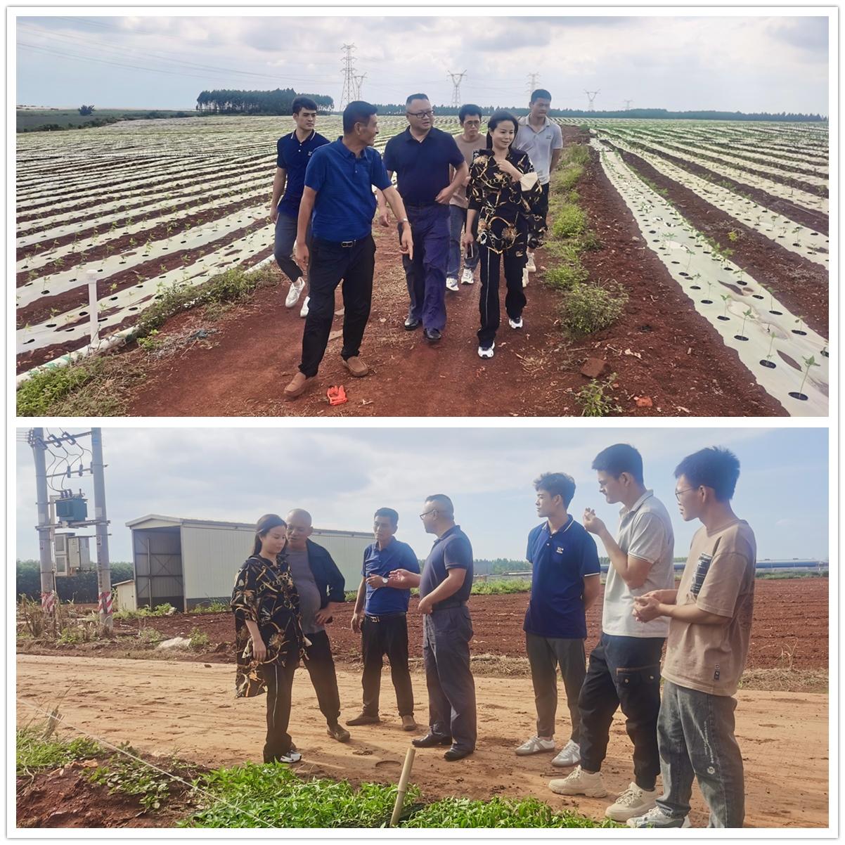 w66.利来(中国区)_来利国际旗舰厅