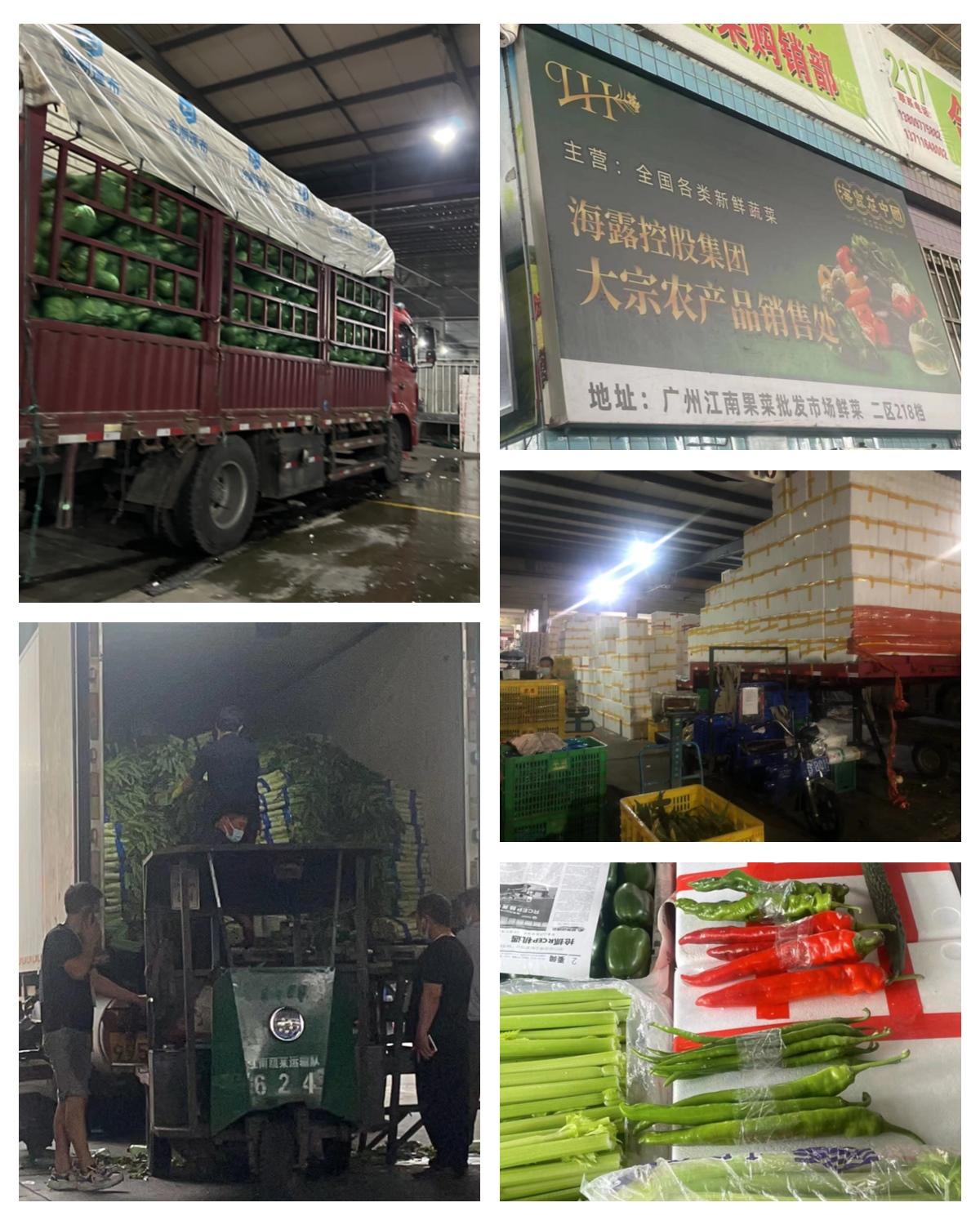 w66.利来(中国区)_来利国际旗舰厅