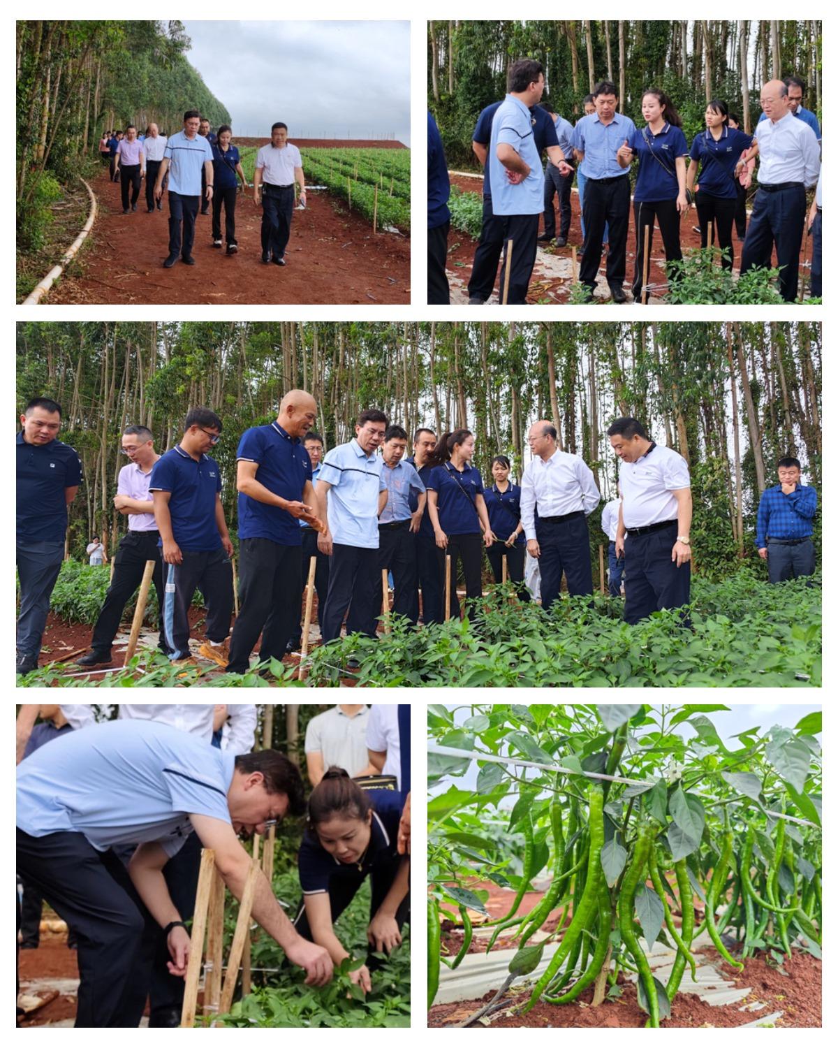 w66.利来(中国区)_来利国际旗舰厅