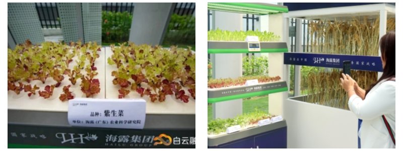 w66.利来(中国区)_来利国际旗舰厅