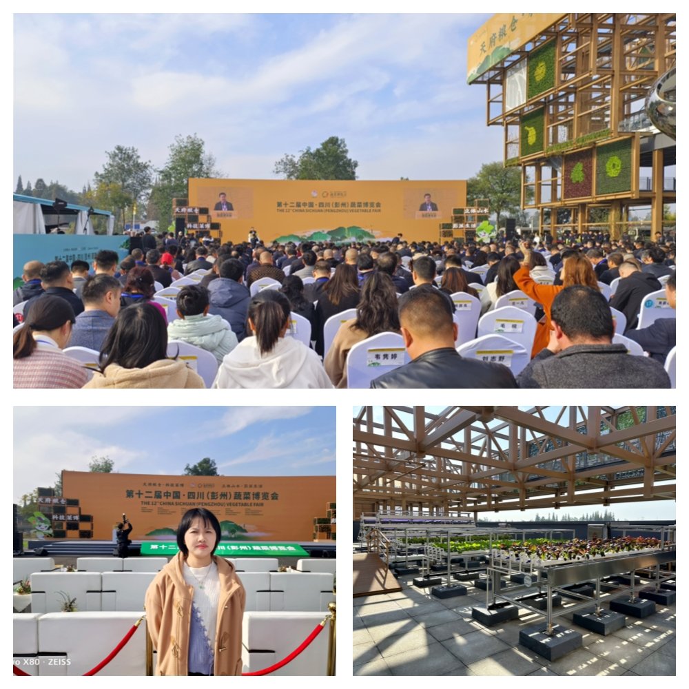 w66.利来(中国区)_来利国际旗舰厅