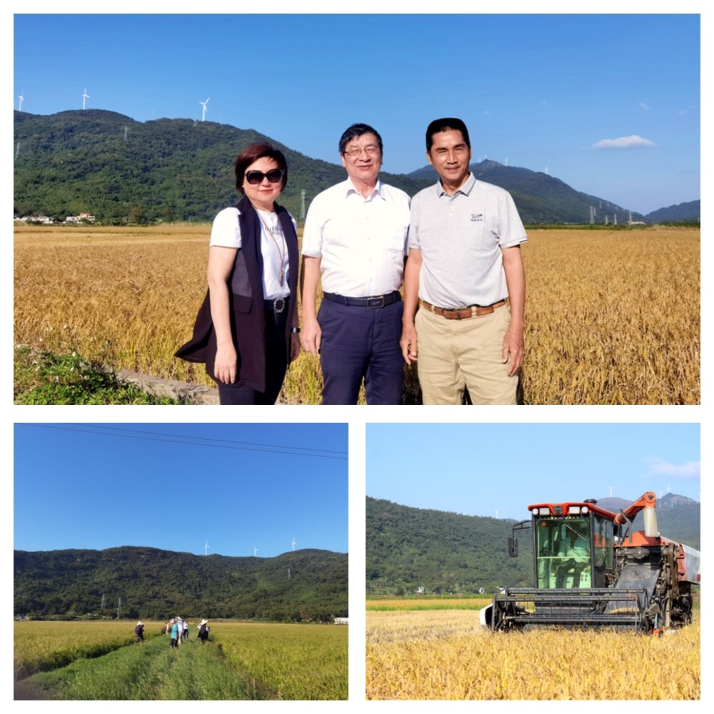 w66.利来(中国区)_来利国际旗舰厅