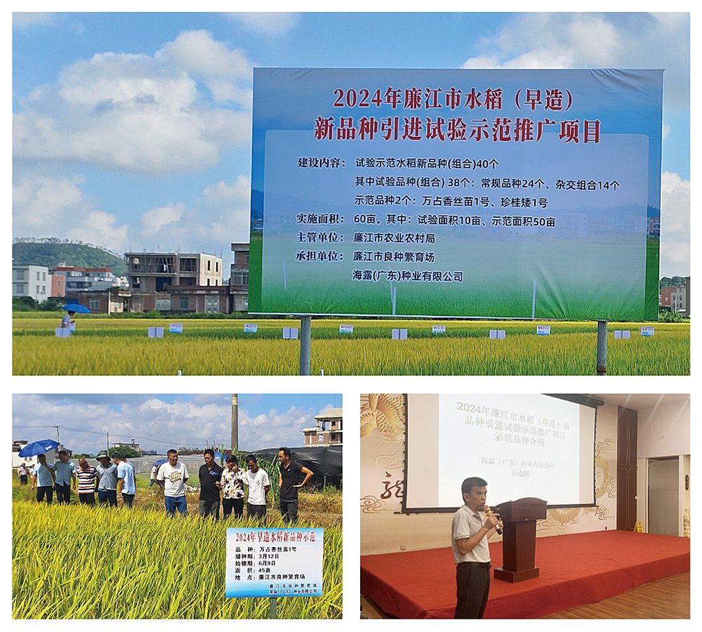 w66.利来(中国区)_来利国际旗舰厅