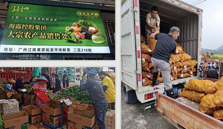 w66.利来(中国区)_来利国际旗舰厅