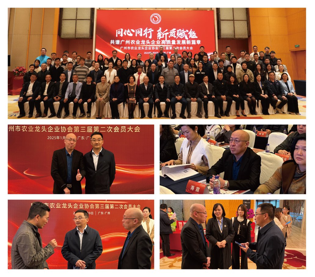 w66.利来(中国区)_来利国际旗舰厅