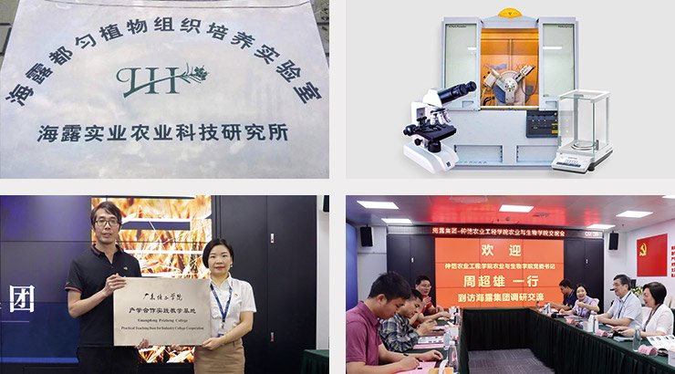 w66.利来(中国区)_来利国际旗舰厅