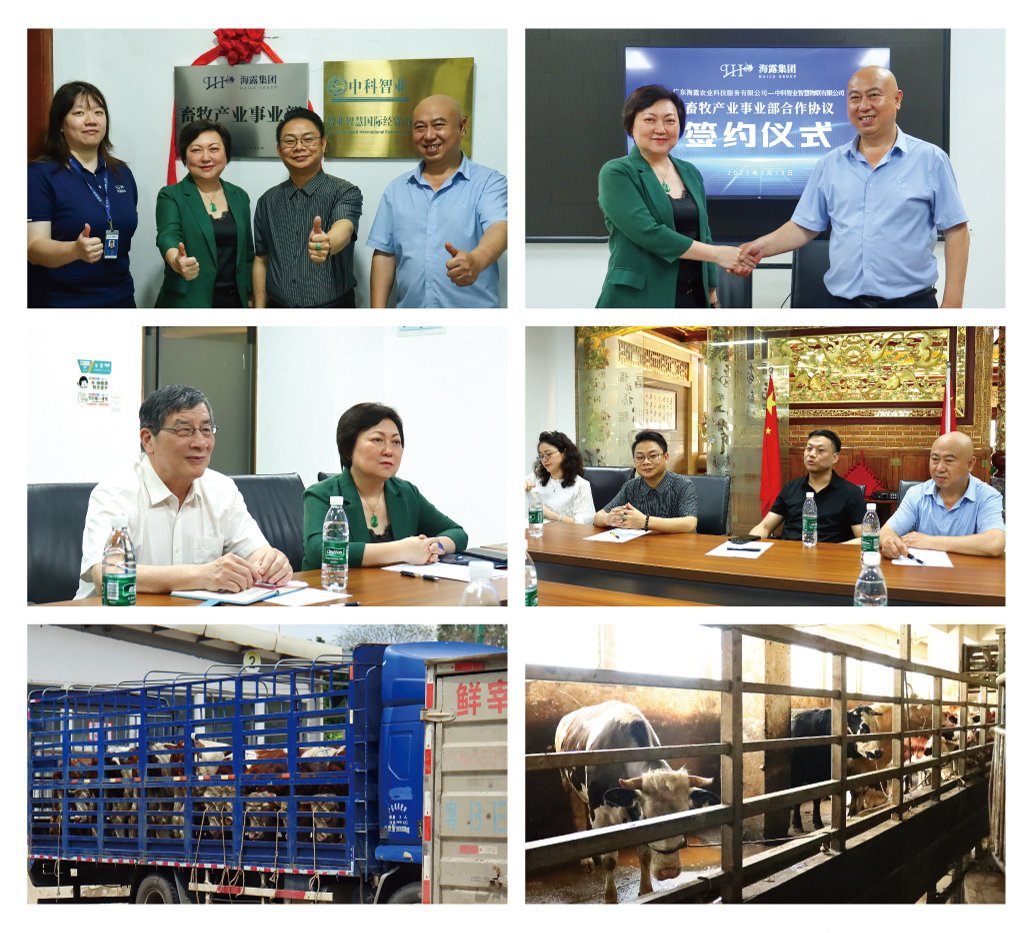 w66.利来(中国区)_来利国际旗舰厅