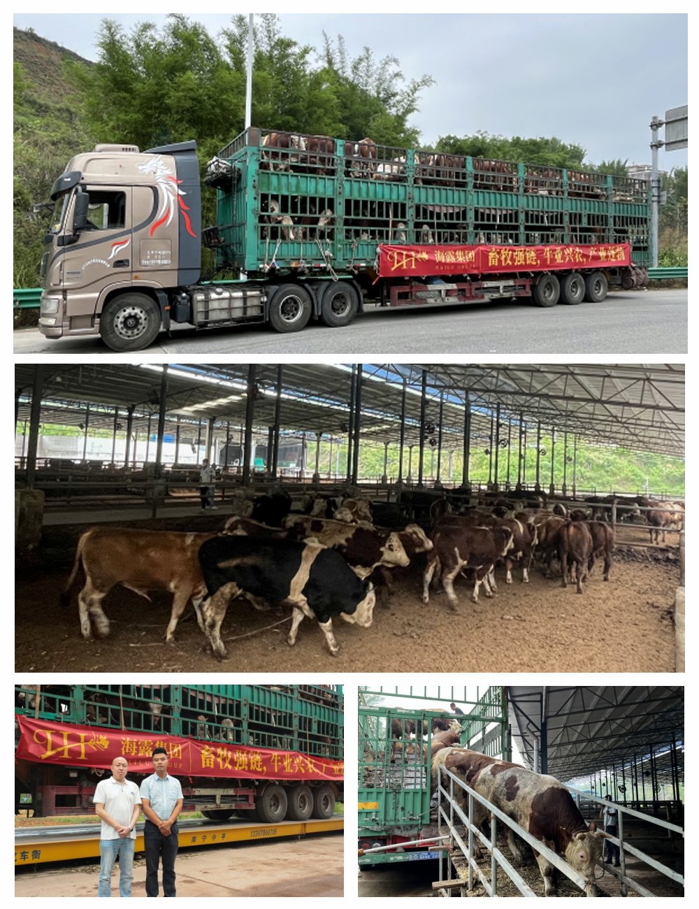 w66.利来(中国区)_来利国际旗舰厅