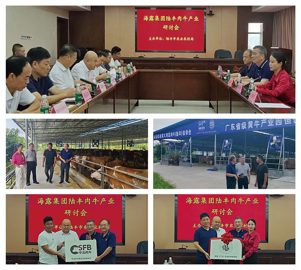 w66.利来(中国区)_来利国际旗舰厅