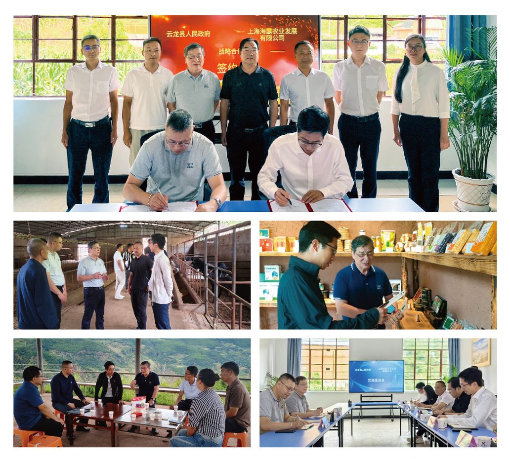 w66.利来(中国区)_来利国际旗舰厅