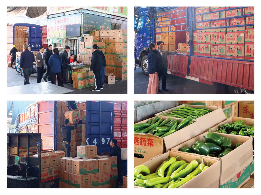 w66.利来(中国区)_来利国际旗舰厅